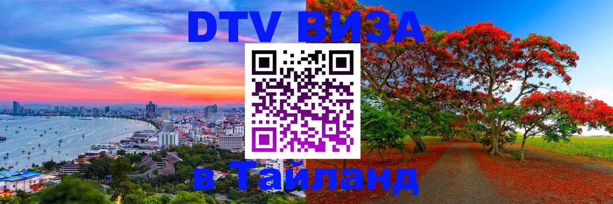 Сколько стоит DTV виза — актуальные цены, оформление даже без документов - Реутов 